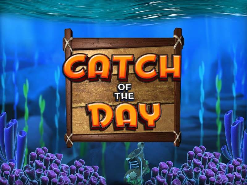 Catch of the Day